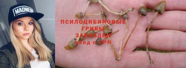 мдпв Богородицк