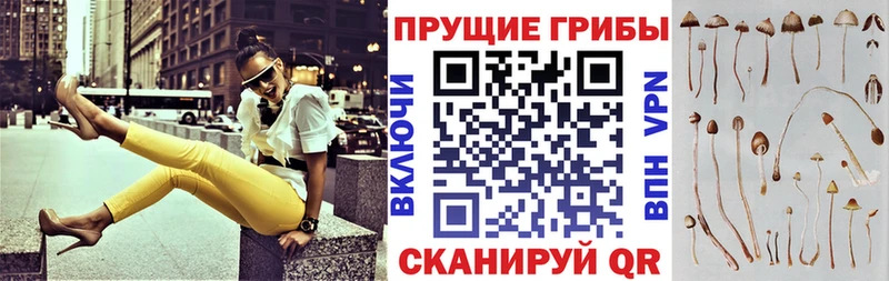Купить  Балтийск  Псилоцибиновые грибы ЛСД 