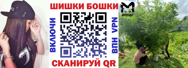 Конопля сатива  Купить где  Балтийск 